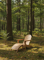 Adirondack set - teak