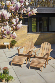 Adirondack set - teak